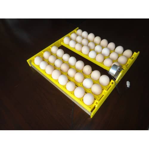 auto-egg-turner-tray-48
