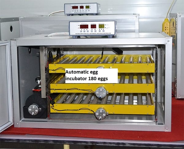 automatic-incubator-180-1-1