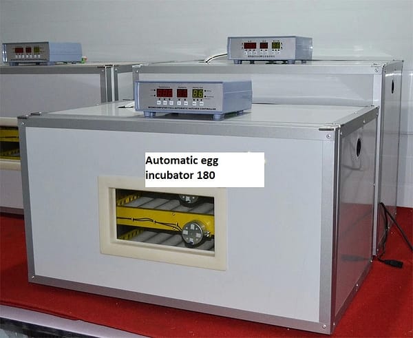 Automatic-egg-incubator-180-eggs