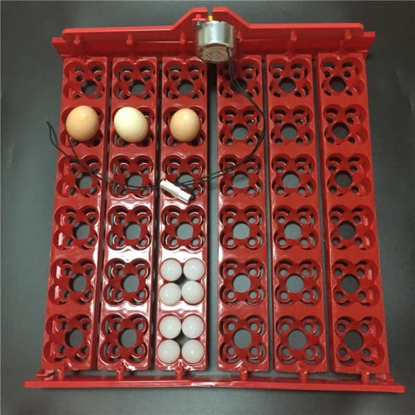 auto-egg-turner-tray-2
