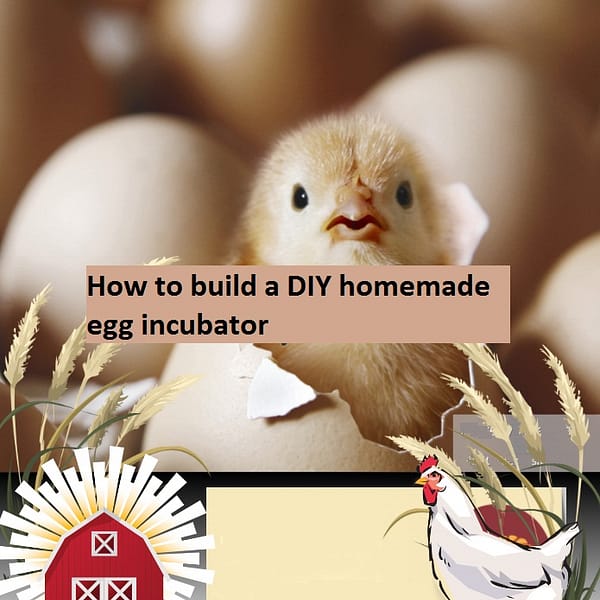 How to build a DIY Homemade egg incubator eBook pdf