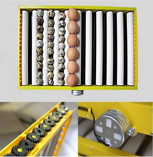Incubator-egg-tray