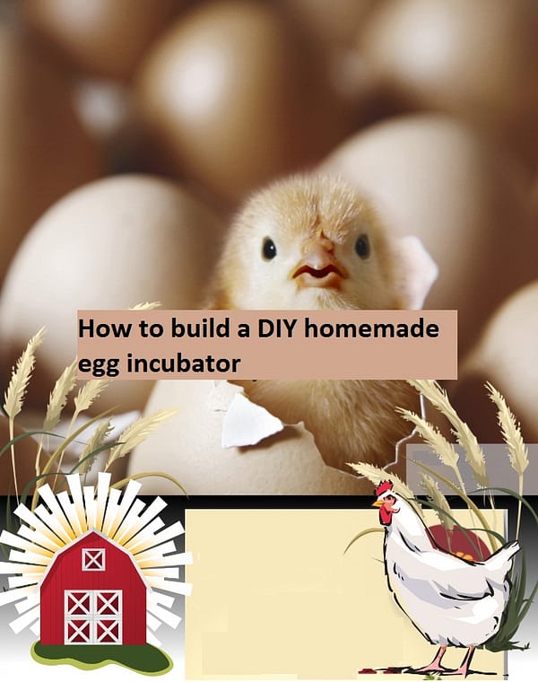 How to build a DIY Homemade egg incubator eBook pdf